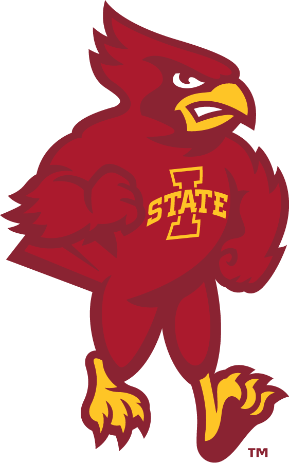 Iowa State Cyclones 2008-Pres Mascot Logo iron on transfers for T-shirts